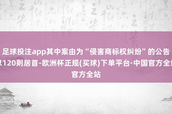 足球投注app其中案由为“侵害商标权纠纷”的公告以120则居首-欧洲杯正规(买球)下单平台·中国官方全站