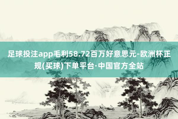 足球投注app毛利58.72百万好意思元-欧洲杯正规(买球)下单平台·中国官方全站