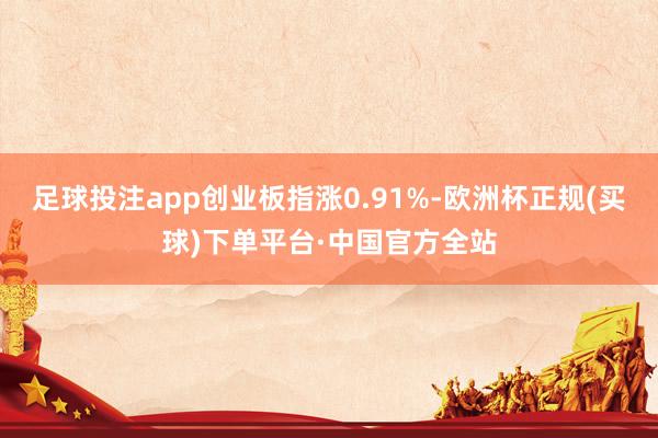 足球投注app创业板指涨0.91%-欧洲杯正规(买球)下单平台·中国官方全站