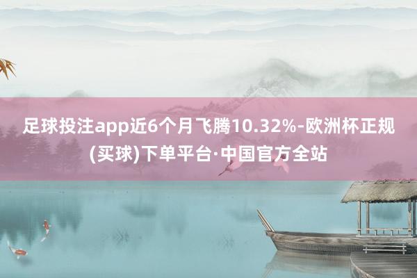 足球投注app近6个月飞腾10.32%-欧洲杯正规(买球)下单平台·中国官方全站