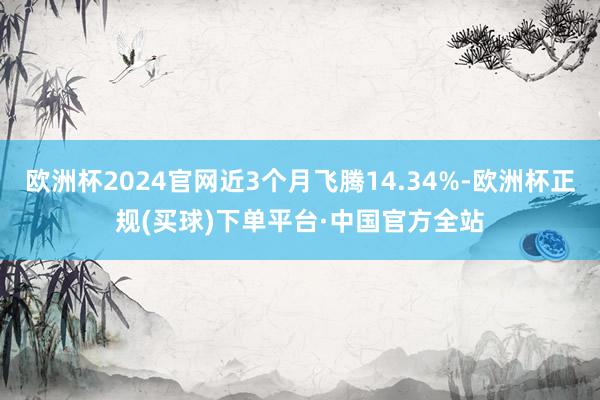 欧洲杯2024官网近3个月飞腾14.34%-欧洲杯正规(买球)下单平台·中国官方全站