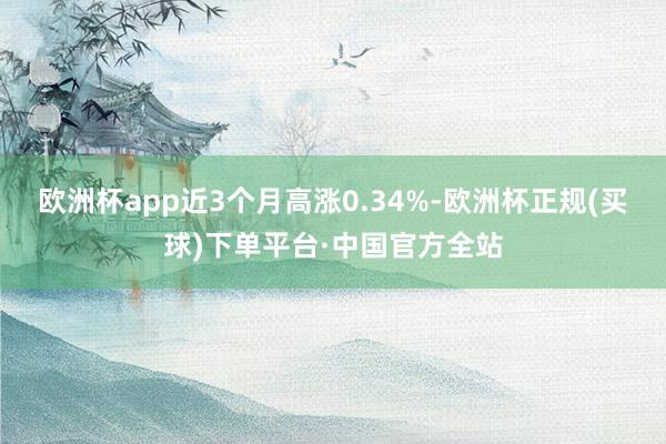 欧洲杯app近3个月高涨0.34%-欧洲杯正规(买球)下单平台·中国官方全站