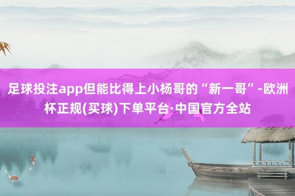 足球投注app但能比得上小杨哥的“新一哥”-欧洲杯正规(买球)下单平台·中国官方全站