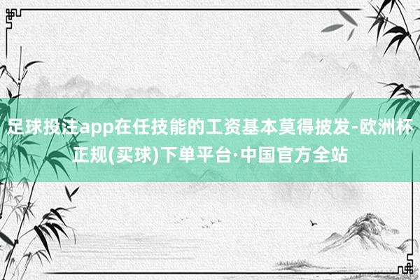 足球投注app在任技能的工资基本莫得披发-欧洲杯正规(买球)下单平台·中国官方全站