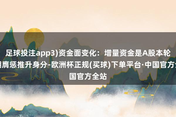 足球投注app3)资金面变化：增量资金是A股本轮高潮膺惩推升身分-欧洲杯正规(买球)下单平台·中国官方全站