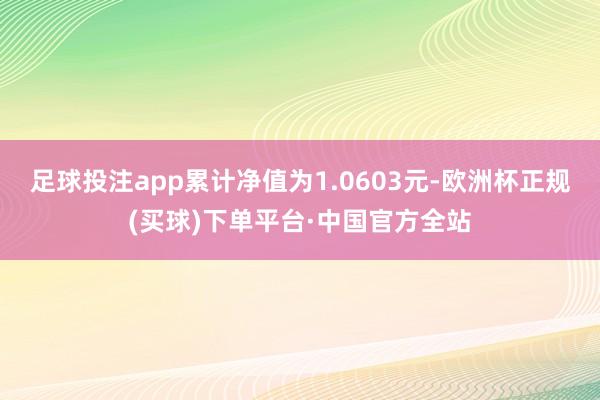 足球投注app累计净值为1.0603元-欧洲杯正规(买球)下单平台·中国官方全站