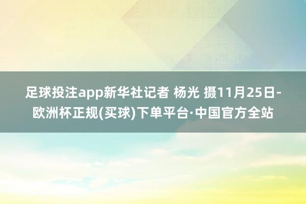 足球投注app　　新华社记者 杨光 摄　　11月25日-欧洲杯正规(买球)下单平台·中国官方全站