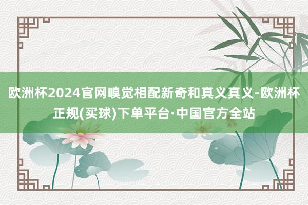 欧洲杯2024官网嗅觉相配新奇和真义真义-欧洲杯正规(买球)下单平台·中国官方全站